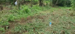 Land Sale For Cabana Hotel Matale