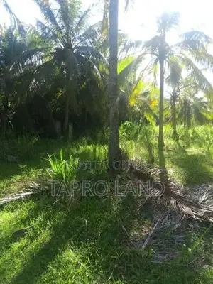 Valuable Land for Sale in Embilipitiya Town Area