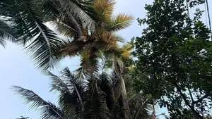Prime Land for Sale – Wattala / Welisara Area