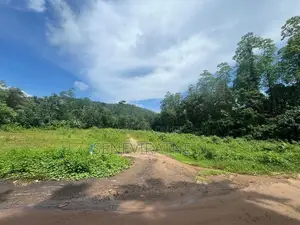 Padukka Land for Sale