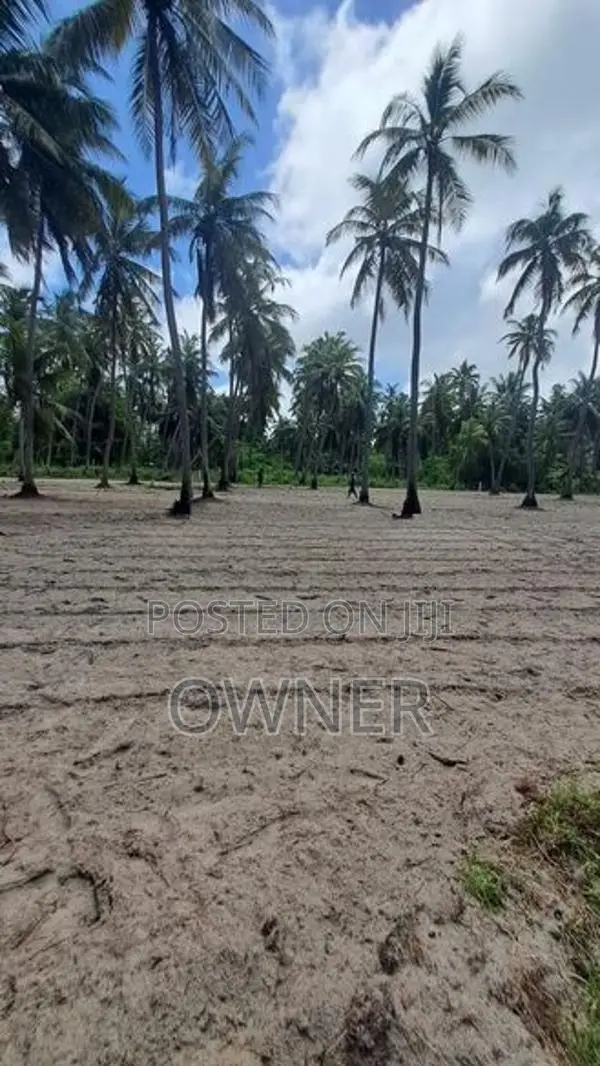 Coconut Estate For Sale In Puttalam City-Mampuri