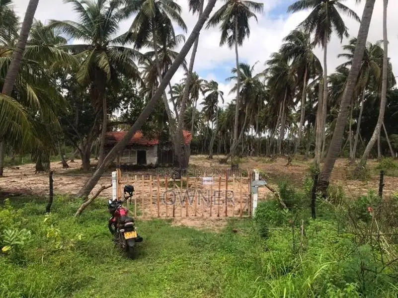 Coconut Estate For Sale In Puttalam City-Mampuri