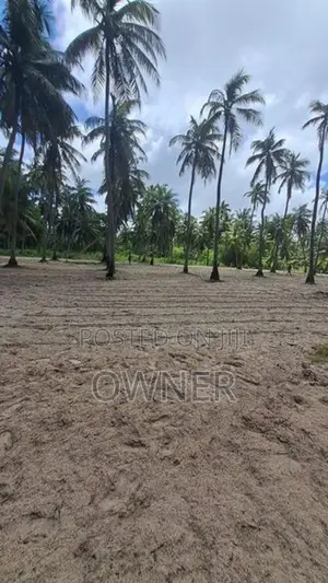Coconut Estate For Sale In Puttalam City-Mampuri