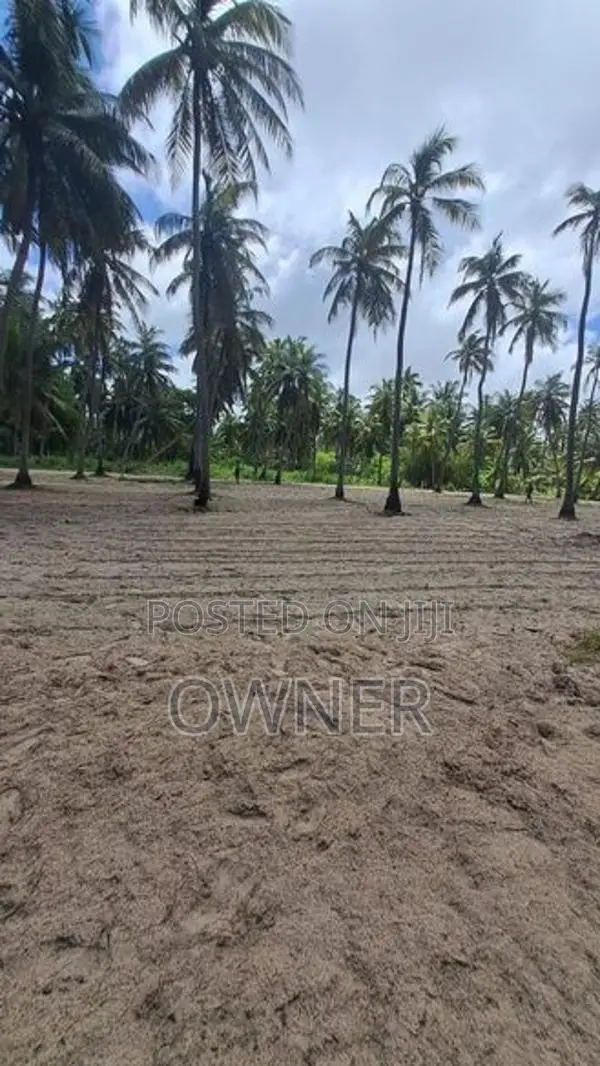 Coconut Estate For Sale In Puttalam City-Mampuri