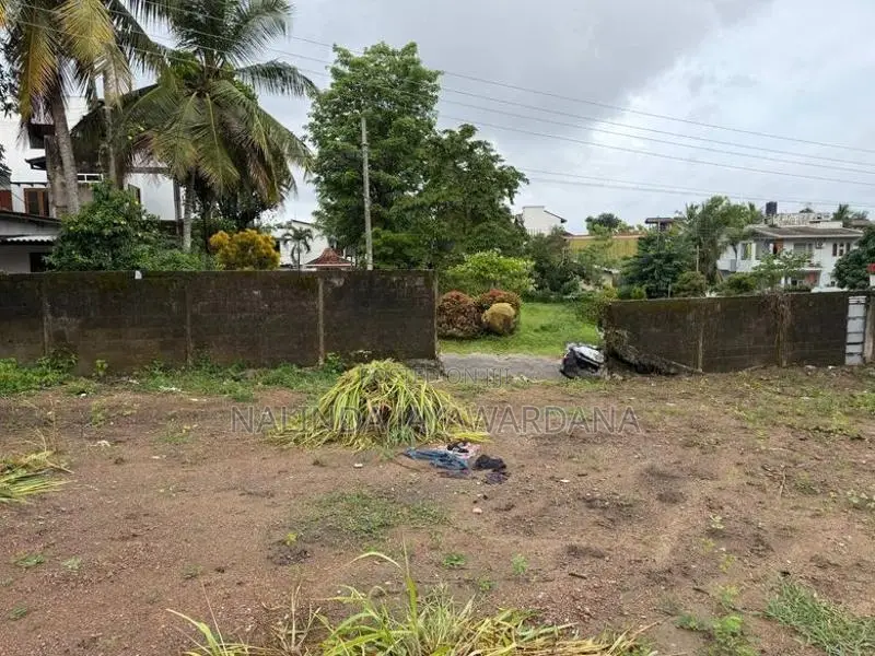 Residential Area Land Pannipitiya
