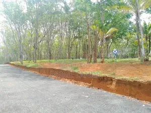 Land for Sale in Ahangama