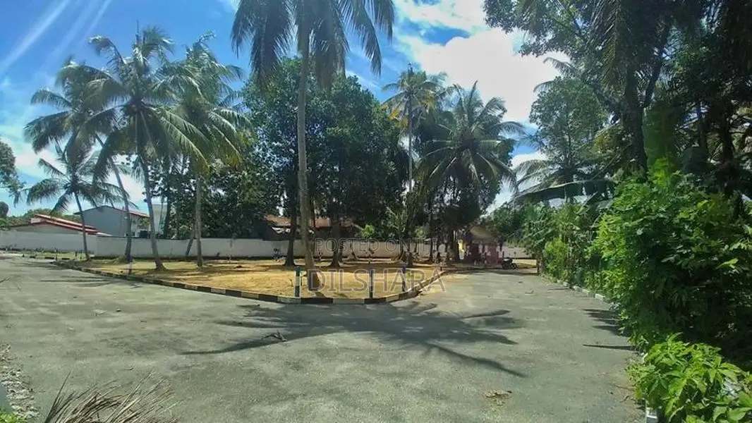 Welisara මහබාගෙන් අගනා බිම් කොටසක් විකිණීමට