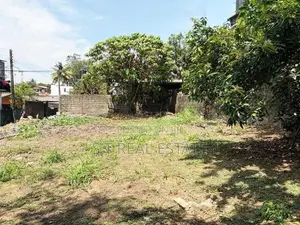 12P Bare Land For Sale In Pannipitiya