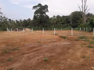 අලව්ව දුම්රියපොළට අසන්නයෙන් ඉඩමක් විකිණීමට