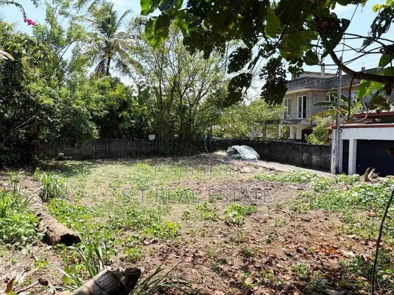 12P Bare Land For Sale In Pannipitiya