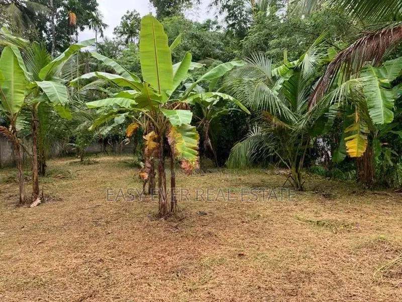 මරදගහමුල නගරයෙන් වටිනා බිම් කොටසක් විකිණීමට