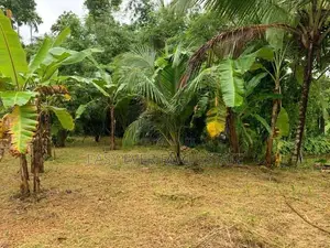 මරදගහමුල නගරයෙන් වටිනා බිම් කොටසක් විකිණීමට