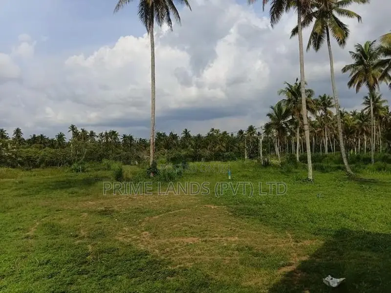 නාරම්මල මැටියගනින් වටිනාම බිම් කොටස්