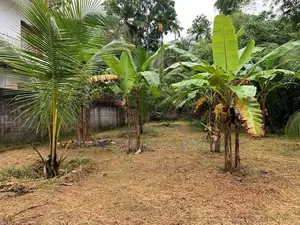 මරදගහමුල නගරයෙන් වටිනා බිම් කොටසක් විකිණීමට