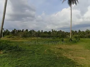 නාරම්මල මැටියගනින් වටිනාම බිම් කොටස්