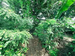 15.50P High Residential Land For Sale In Dehiwala