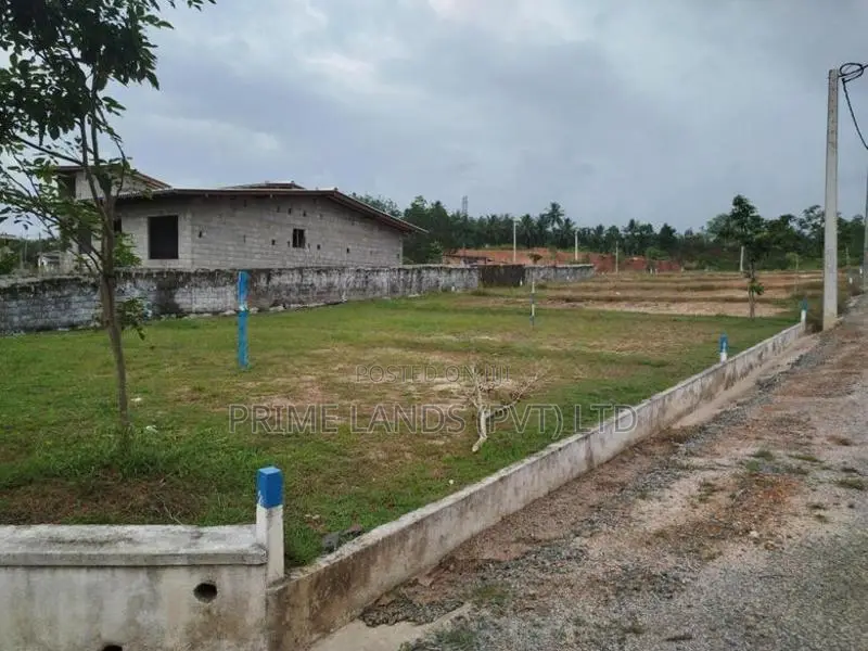 ආටිගල බටවල පාරෙන් බිම් කොටස් විකිණීමට