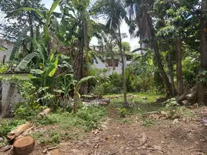 Super Land for Sale Boralesgamuwa