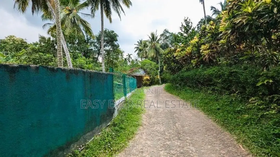 වේයන්ගොඩ පර්චස් 15 ක වටිනා බිම්කොටසක්