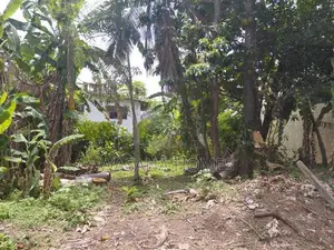 Super Land for Sale Boralesgamuwa