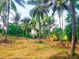 Developed Residential Land in Pasyala P6