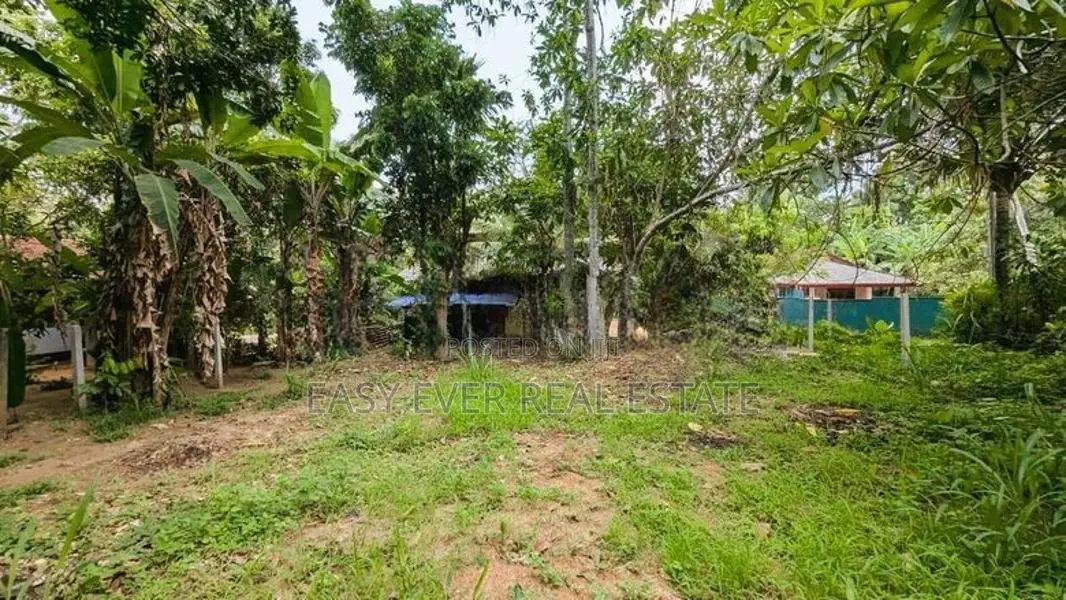 වේයන්ගොඩ පර්චස් 15 ක වටිනා බිම්කොටසක්