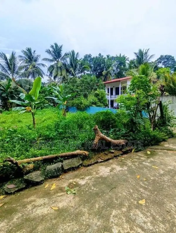 නවගමුව නගරයෙන් වටිනා ඉඩමක් විකිණීමට