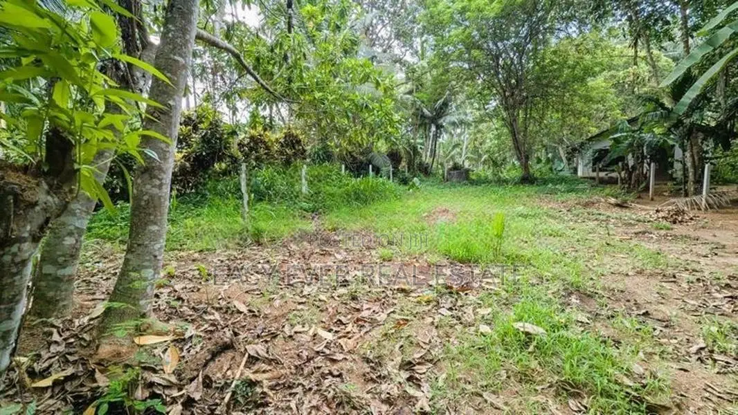 වේයන්ගොඩ පර්චස් 15 ක වටිනා බිම්කොටසක්
