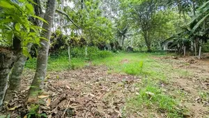 වේයන්ගොඩ පර්චස් 15 ක වටිනා බිම්කොටසක්