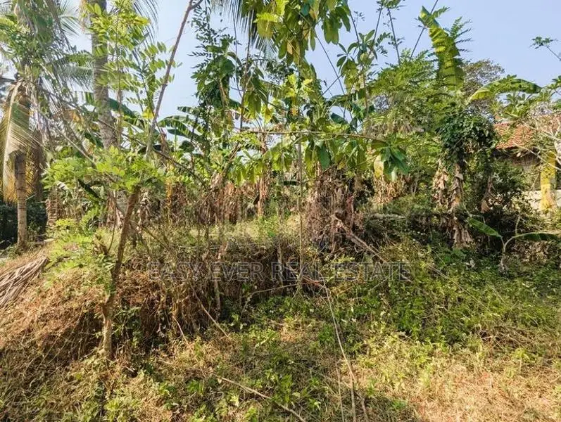 කල්එලිය ප්‍රධාන පාරට මුහුනලා ‎ ඉඩමක්
