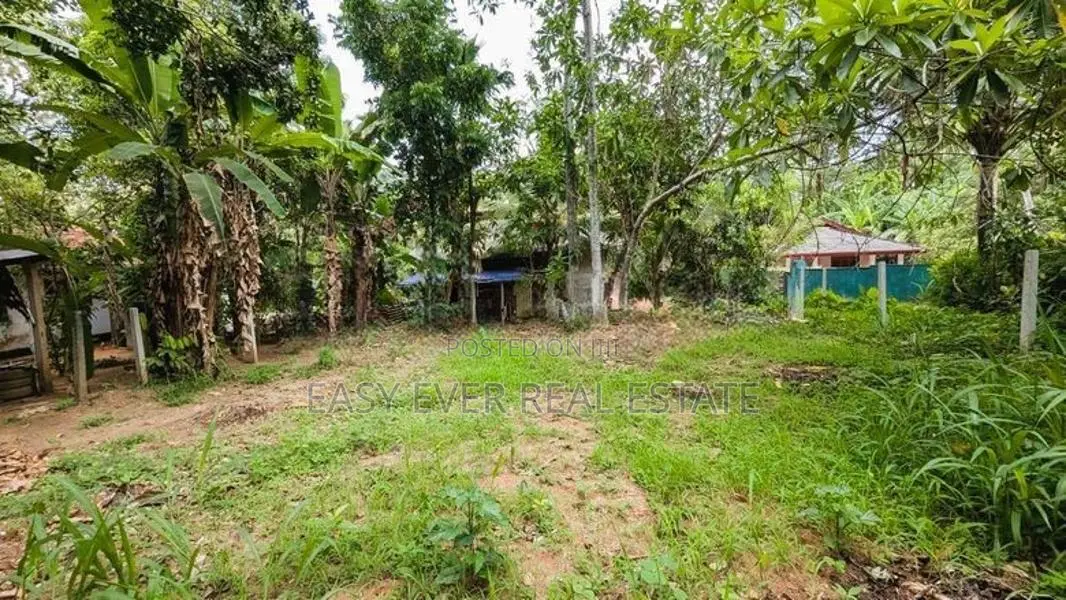 වේයන්ගොඩ පර්චස් 15 ක වටිනා බිම්කොටසක්