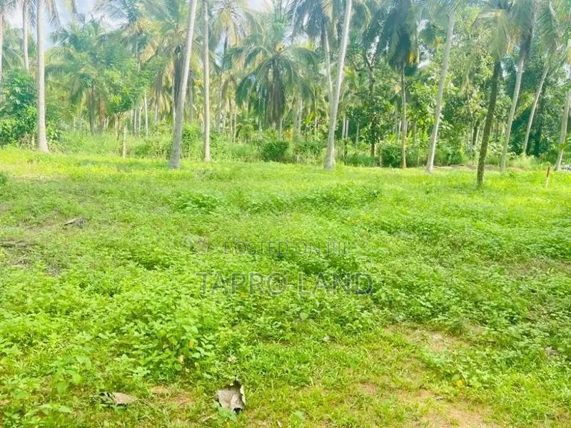 Land for Sale in a Prime Location Pannala
