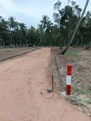 සින්නක්කර ඉඩමක් හලාවත