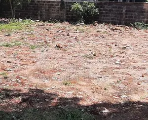 7.7 Perch Bare Land For Sale In Bellanvila Junction