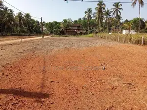 Diulapitiya Ullalapola Land for Sale