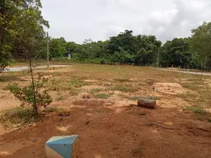 Dambulla Palwehera Land for Sale