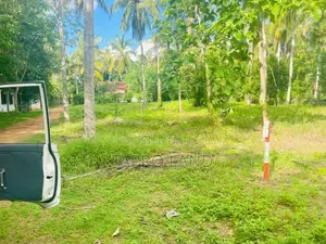 Land for Sale in a Prime Location Pannala