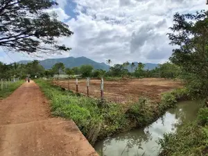 දබුල්ල නුවර පාරට නුදුරින් සින්නක්කර බිම්කොටස්
