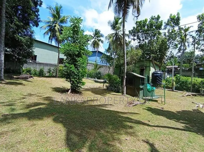 Valuable Residential Land for Sale in Makola