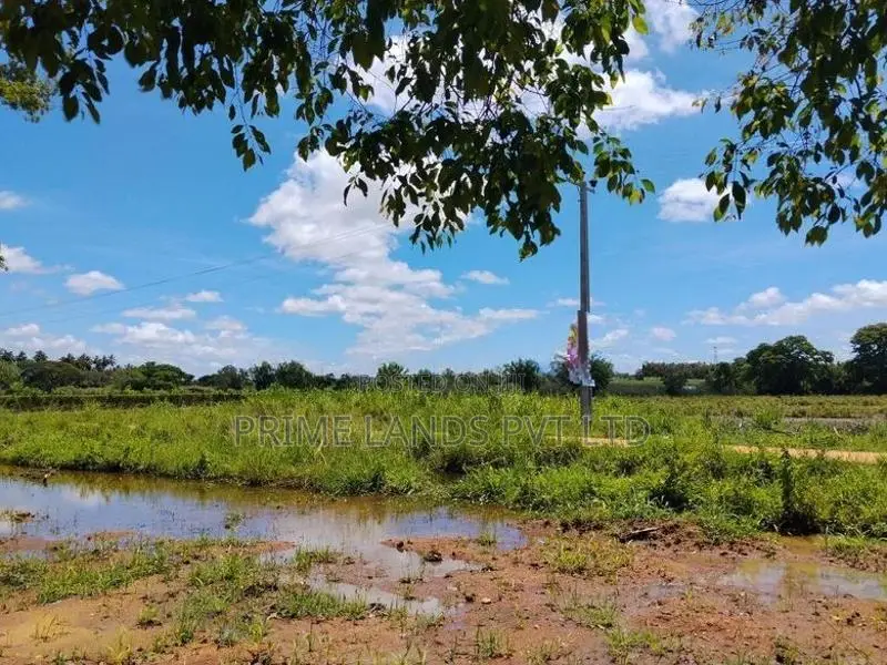 අනුරාධපුර අවටින් බිම්කොටස්