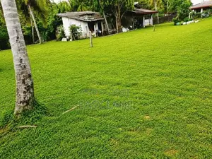 වාද්දූවෙන් ඉඩම්