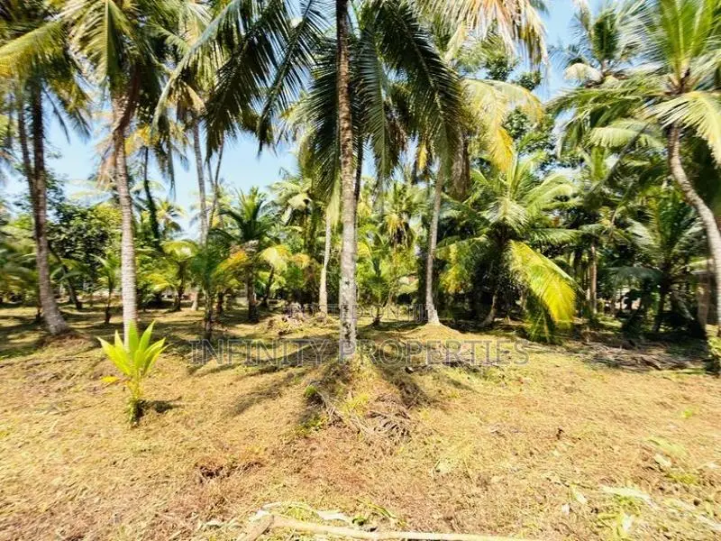 58 P LAND AT 200 M Galle Road Wadduwa Kalutara