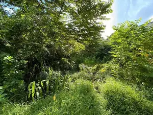 10 P Bare Land Sale at Duwa Rd Baddagana Pitakotte