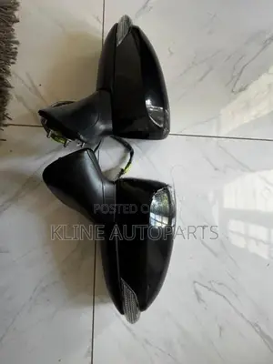 AXIO 161/165 SIDE MIRROR