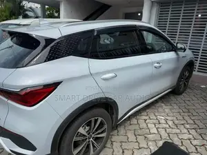 BYD Atto 3 Door Visor