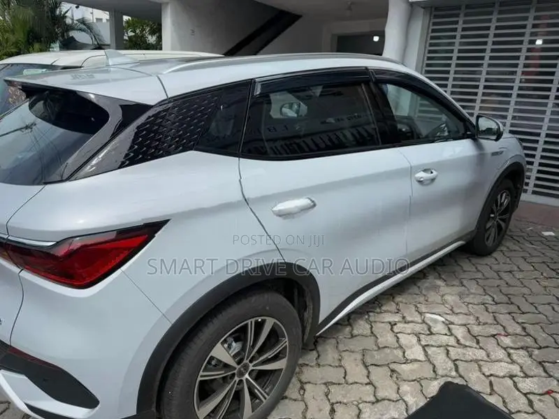 BYD Atto 3 Door Visor