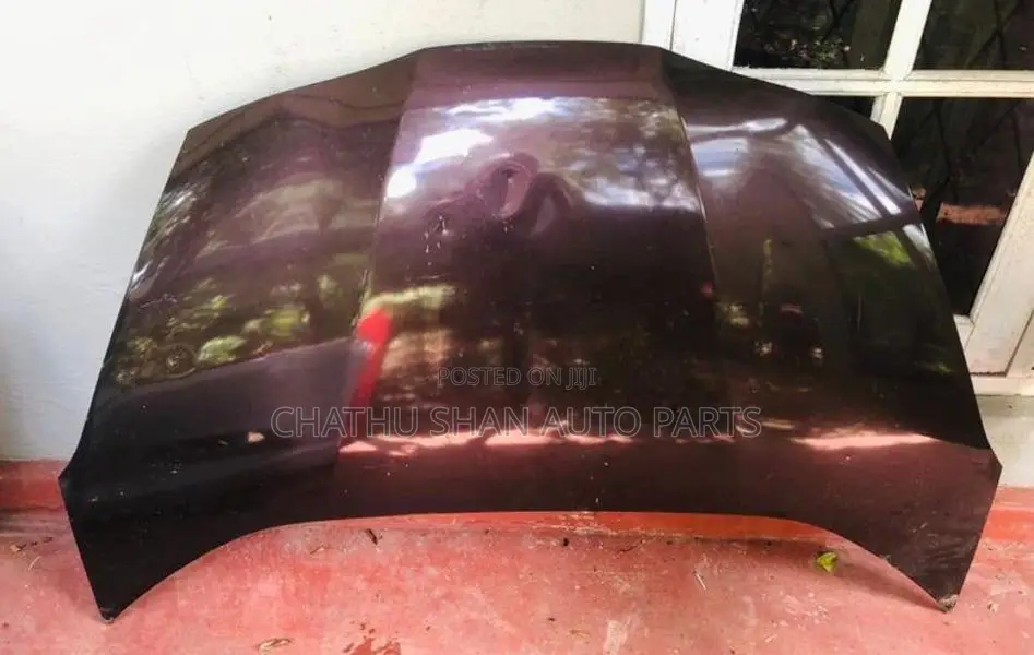 Honda Fit Gp 1 Bonnet