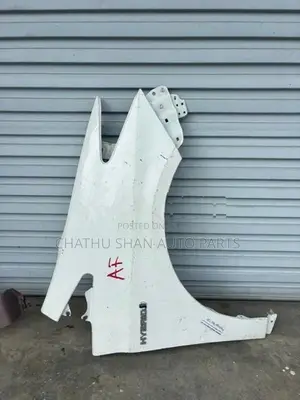Prius W 30 Fender