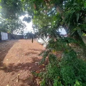 34 perches superb bare land for sale in Boralesgamuwa