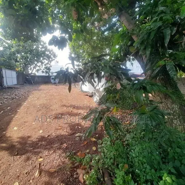 34 perches superb bare land for sale in Boralesgamuwa